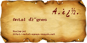 Antal Ágnes névjegykártya